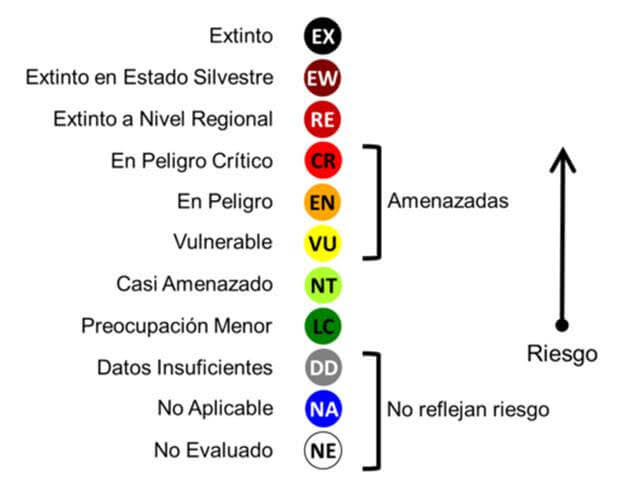 Figura 1. Categorías empleadas en las Listas Rojas de Especies.